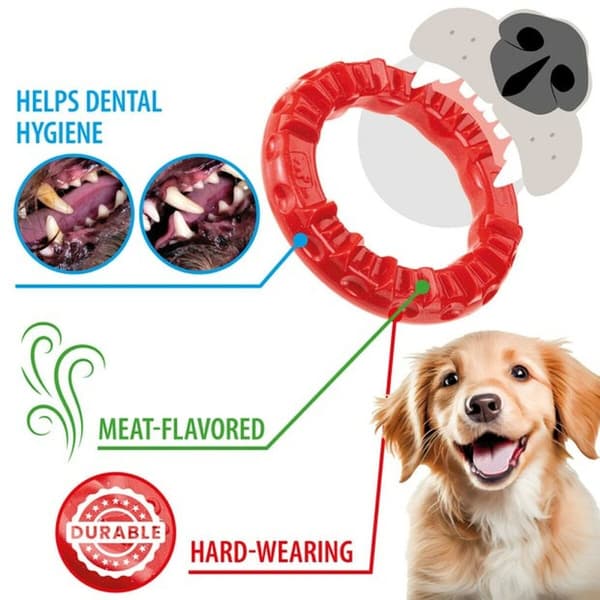 Hund Bidering Ferplast Rød Naturgummi dyr