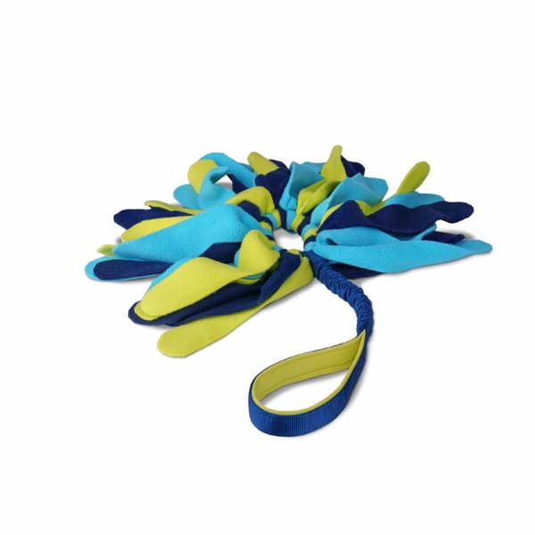 Training toy Coachi TUGGI SPIDER Sininen