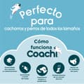 Pikkukuva 2 / 8: Käsipaino Coachi TRAINING DUMBBELL Sininen L Muovinen
