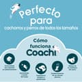 Pikkukuva 4 / 8: Käsipaino Coachi TRAINING DUMBBELL 12 Muovinen