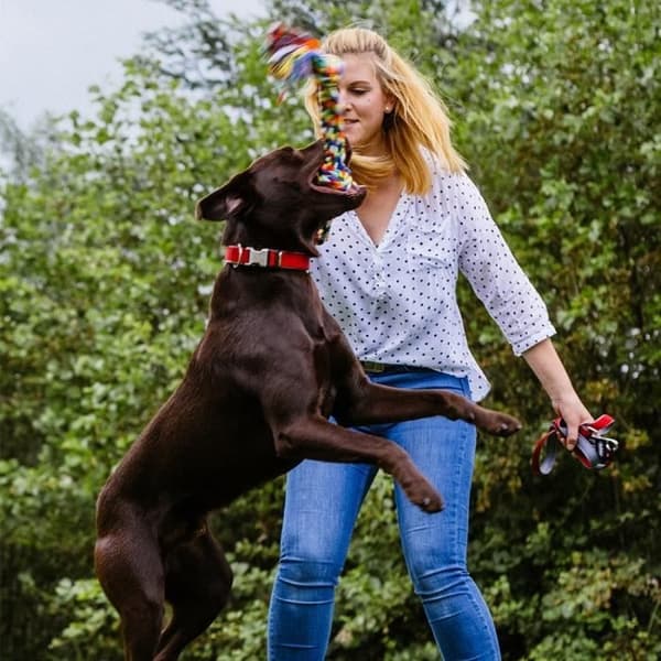 Dubbla bomullsmix hundlinor Nobby Pet