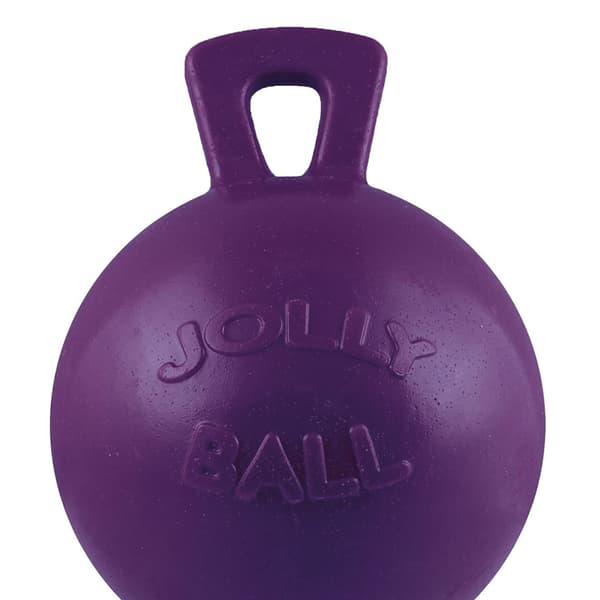 Jolly Pets Tug-N-Toss Dog Retrieving Toy