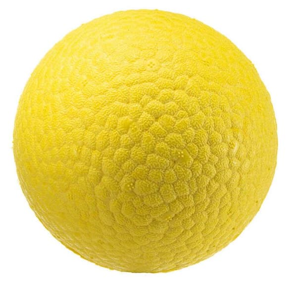 Ferplast Chewa Boing hundboll