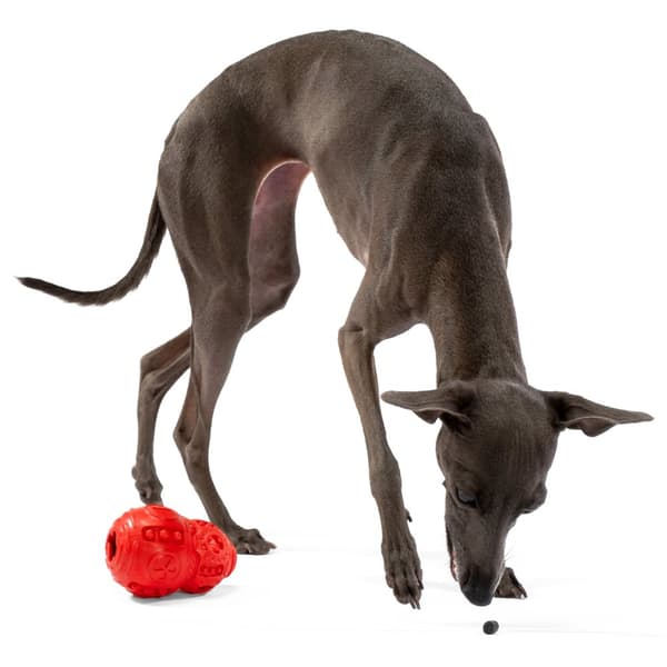 TYGGEBOLD TIL HUNDE PJ-046 RED