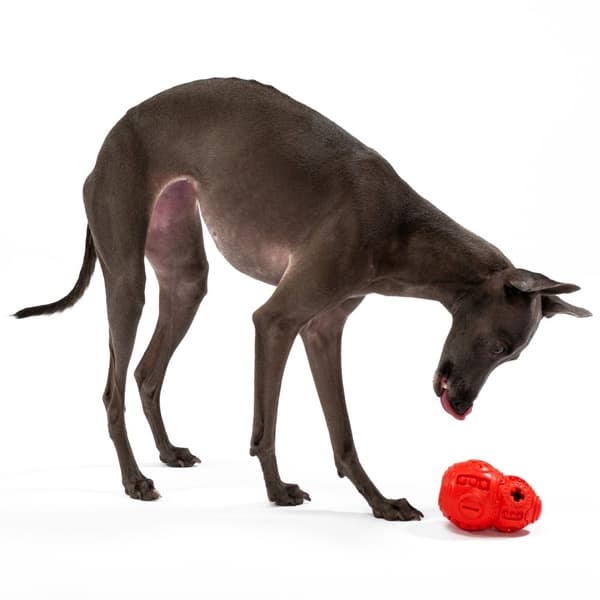 TYGGEBOLD TIL HUNDE PJ-046 RED