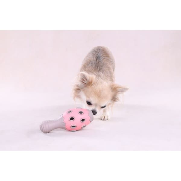 Flamingo Benty Cone Hundleksak