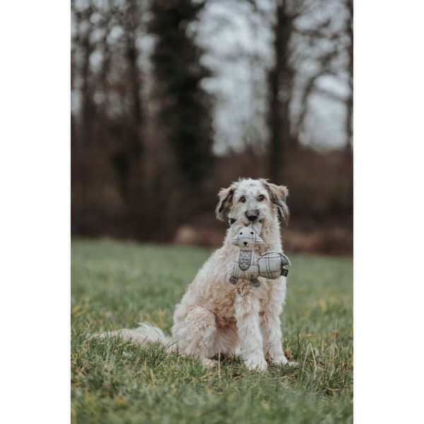 Plush legetøj til hunde Hunter Beige 100 % Genbrug Ræv