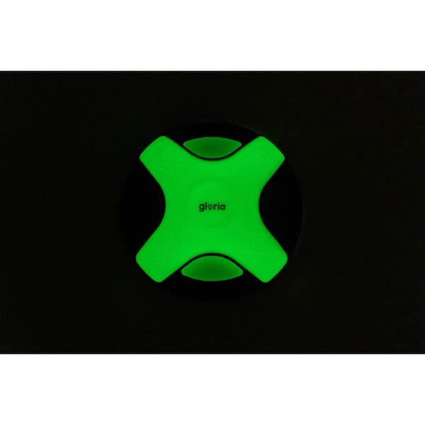 Frisbee Gloria Hvid TPR 25 cm