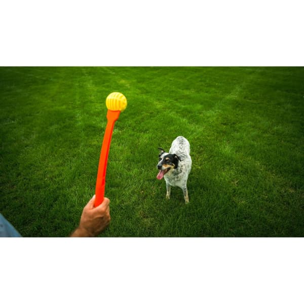 Boldkaster til hunde Hunter