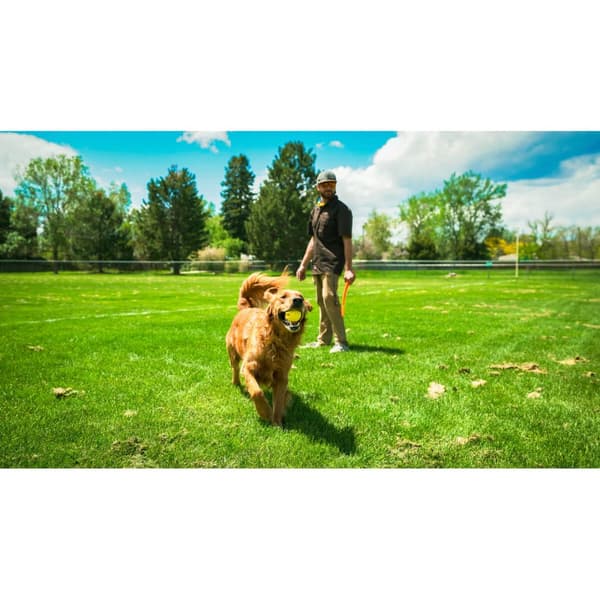 Boldkaster til hunde Hunter