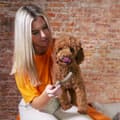 Miniatyrbillede 3 af 5: Hund Bidering Nylabone Brun Jordnøddesmør M