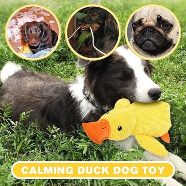 Piper tuggleksak Lugnande Duck Dog Toy, The Mellow Duck, Calming Duck Dog Toy, The Mellow Dog Lugnande kudde, The Mellow Dog Calming Dog Toy(Gul, S)