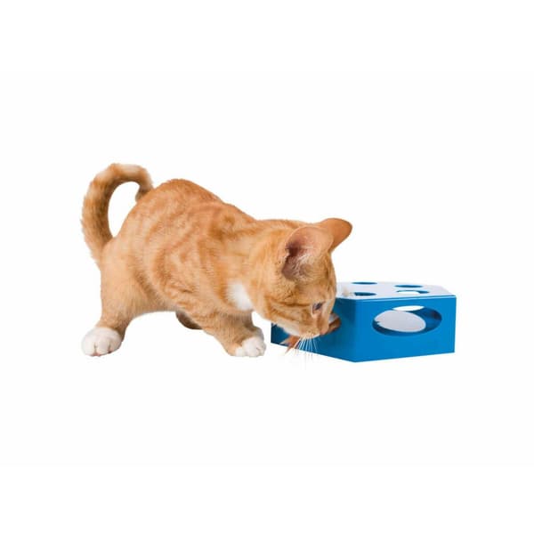 Legetøj til katte Trixie Grå Plastik Ø 22 cm