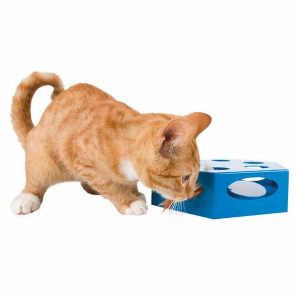 Legetøj til katte Trixie Grå Plastik Ø 22 cm