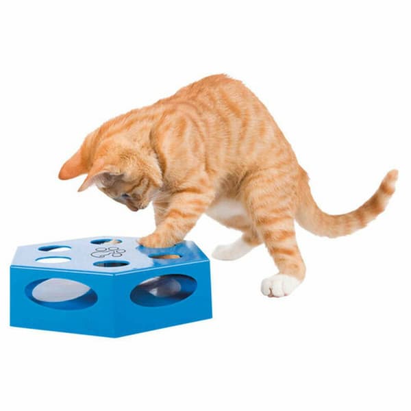 Legetøj til katte Trixie Grå Plastik Ø 22 cm