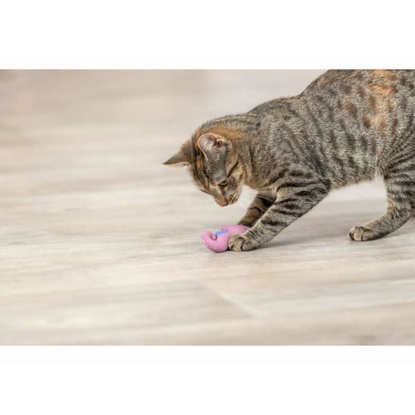 Legetøj til katte Trixie