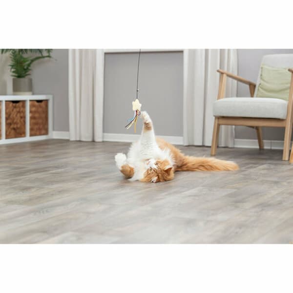Legetøj til katte Trixie Polyester plys Plastik