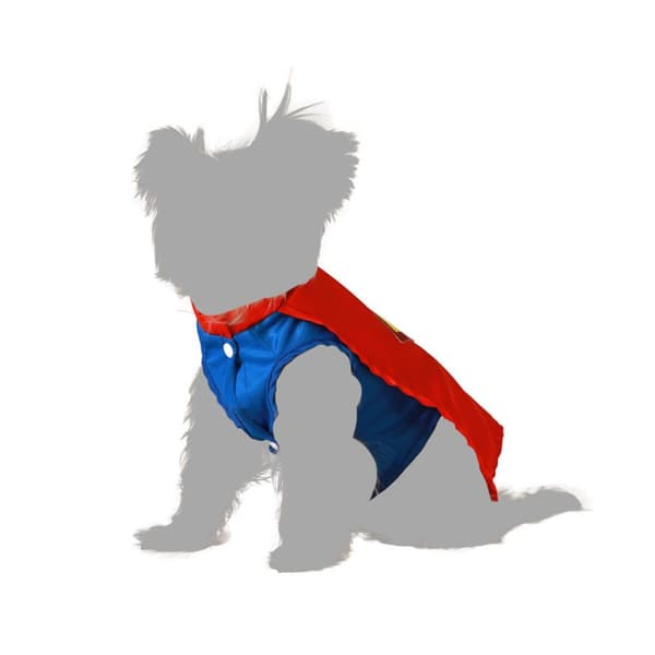 Hundedragt Tegneserie helt - S