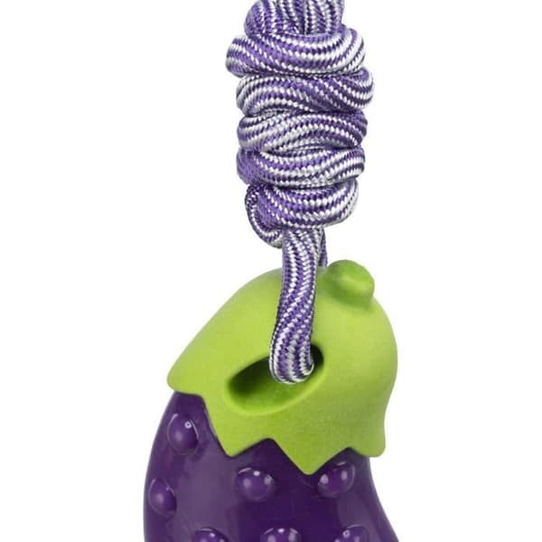 Hund leksak - Trixie - Aubergine på rep - Lila - One size - Pack med 3