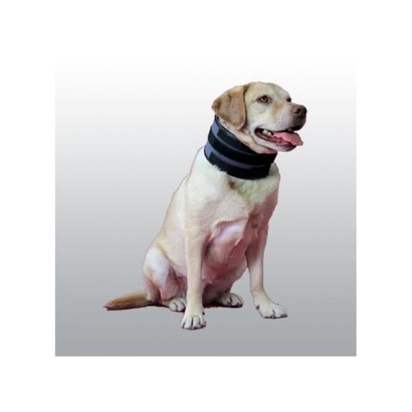 Bite Free S hundhalsband - INGET NAMN
