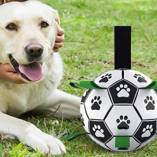 Animal Intelligence Toy Koiran lelupallo - Koiran jalkapallo kahvalla ja pumpulla