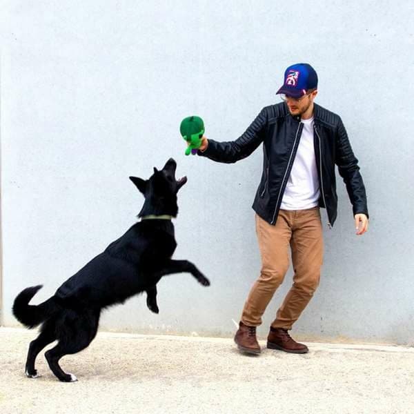 Legetøj til hunde The Avengers