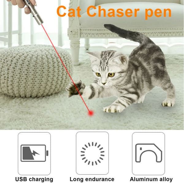 Jaktleksak för katt med USB-laddning, bärbar ficklampa, LED-penna för husdjur, ljuspunktare, acce