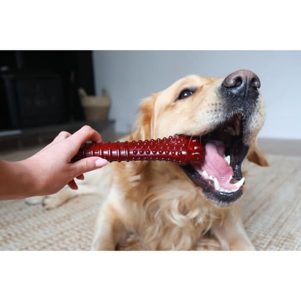 Ben Nylabone Brun Bacon XL
