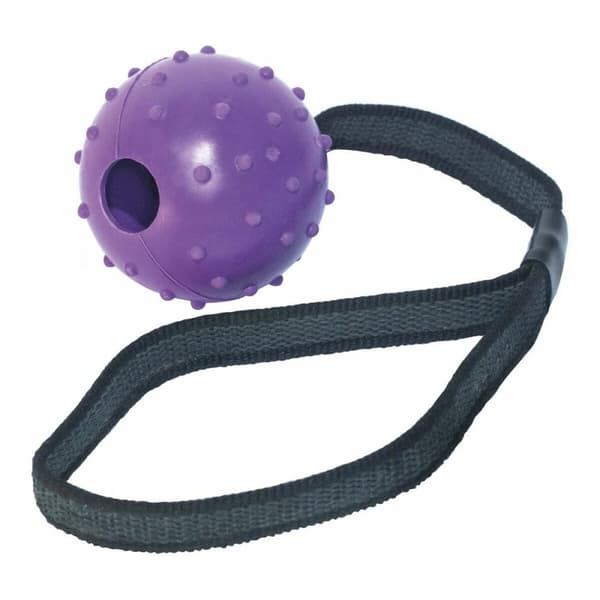 Hund Bidering Gloria Med streng Gummi (6 cm) (6 x 30 cm)