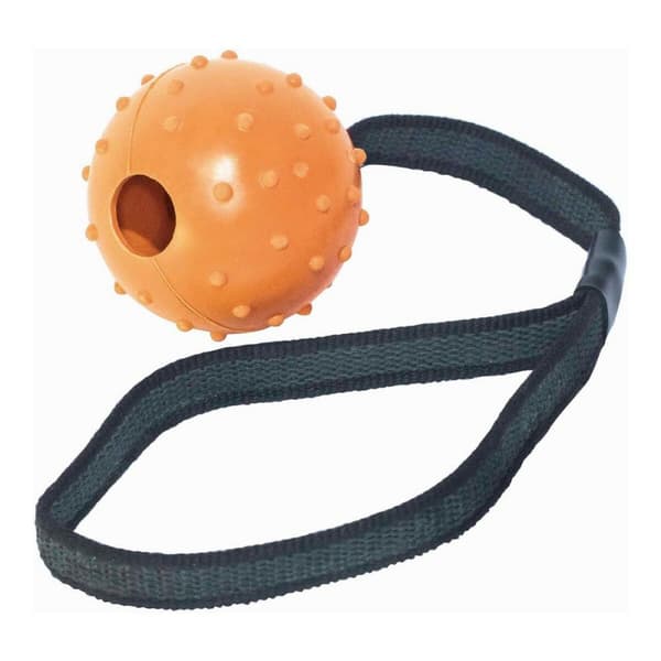 Hund Bidering Gloria Med streng Gummi (6 cm) (6 x 30 cm)