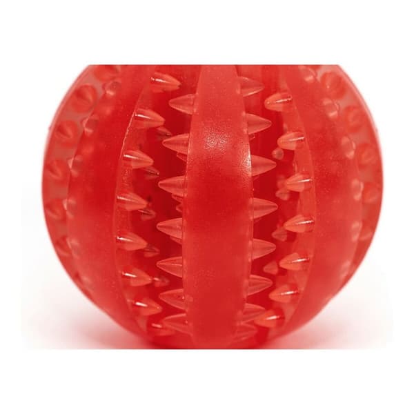Hundleksak Gloria Tandvård TPR Blandade färger (6 cm)