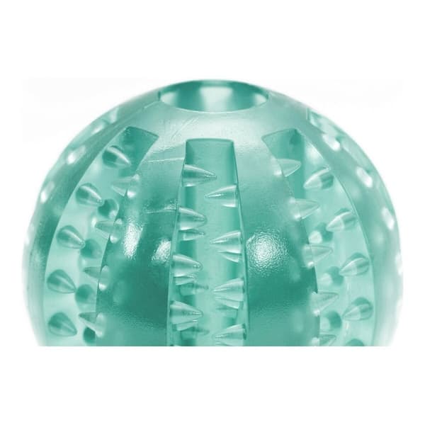 Hundleksak Gloria Tandvård TPR Blandade färger (6 cm)