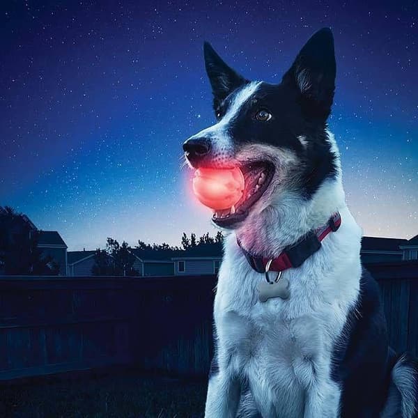 NITE IZE GLOWSTREAK LED BALL DISC-0, ledboll för hundar, lysande hundboll