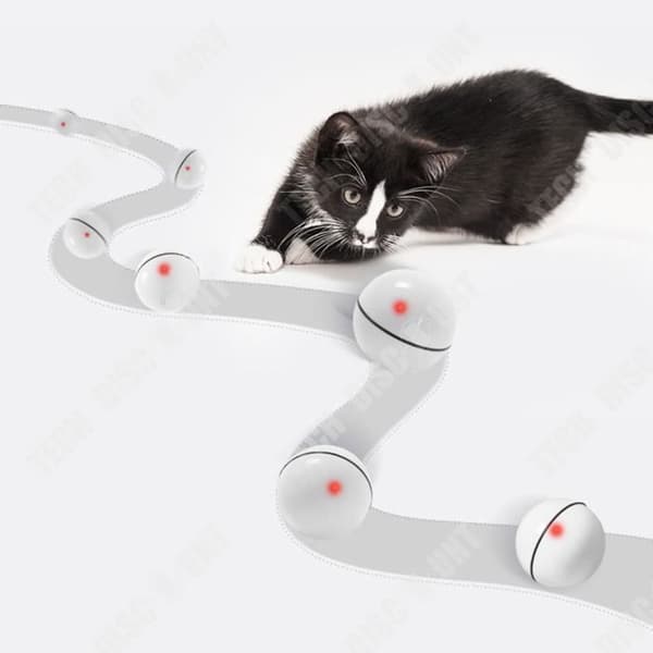 TD® Ball Cat Toy Ball Automatisk Plast Led-ljus Träningsspel Intuitivt Husdjur Hund Domestic Interactive