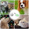 Miniatyrbild 2 av 4: TD® Ball Cat Toy Ball Automatisk Plast Led-ljus Träningsspel Intuitivt Husdjur Hund Domestic Interactive