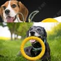 Miniatyrbild 2 av 4: TD® Toy Hund Katt Husdjur Plast Billigt Resistant Anti-Ryck hundträning Bite Bar Ball