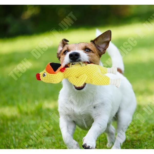 TD® Screaming Chicken Pet Plyschleksak Hundbettleksak Molar Pet Toy
