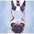 Miniatyrbild 1 av 4: TD® Rolig 3D Dog Print Kudde Kudde kreativ söt plysch docka present Heminredning nochalofo 22061 y
