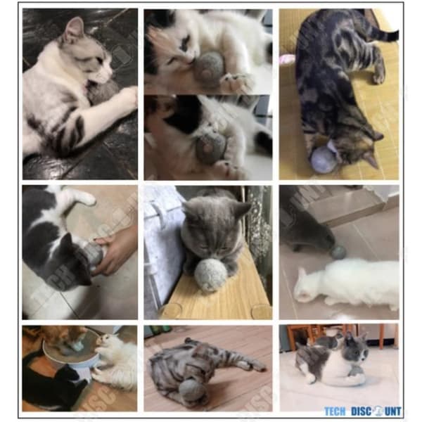 TD® Cat Garn Ball Mint Catnip Grass Toy Ball Elektronisk skumtandvård Billigt interaktivt husdjur