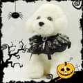 Miniatyrbild 3 av 4: TD® Justerbar Djurhalsband Halloween Ghost Festival Spetskrage Halloween Fotorekvisita
