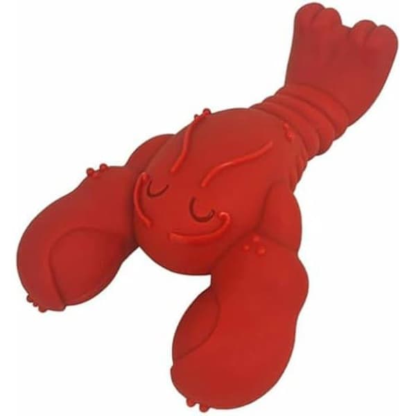 Tuggleksak - NYLABONE - Hummer - Slitstark nylon - Utsökt smak - Extra stor