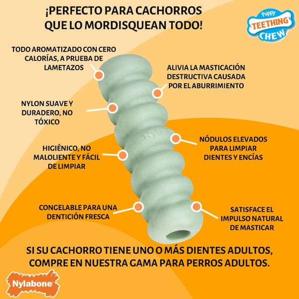Koiran purulelu Nylabone SENSORY TACTILE STICK Vihreä Maapähkinävoi Bacon S