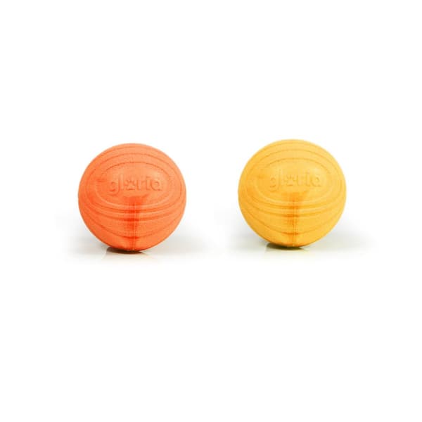 Lemmikin pallo Gloria PLAY AND RUN Keltainen Vaahto TPR M 6,35 cm 2 osaa