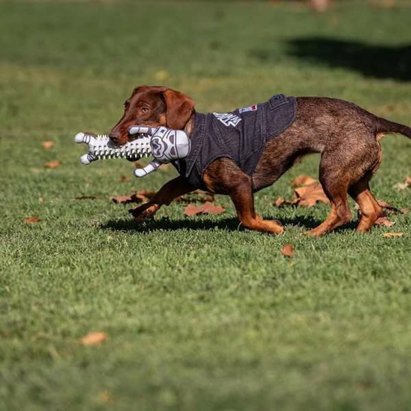 Hundleksak Star Wars