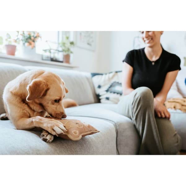 Hundeleketøy Hunter Tough Tundra Beige Vaskebjørn