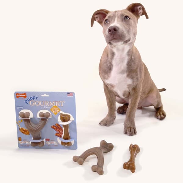 Hund Bidering Nylabone Brun Jordnøddesmør Bacon Kunstig S