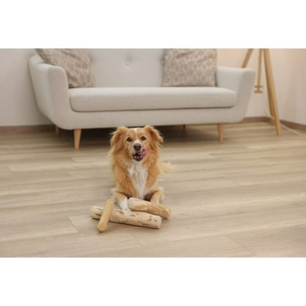 Hund Bidering Kerbl 80933