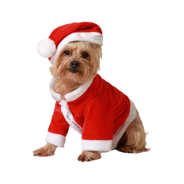 Hundedragt Julemanden - L