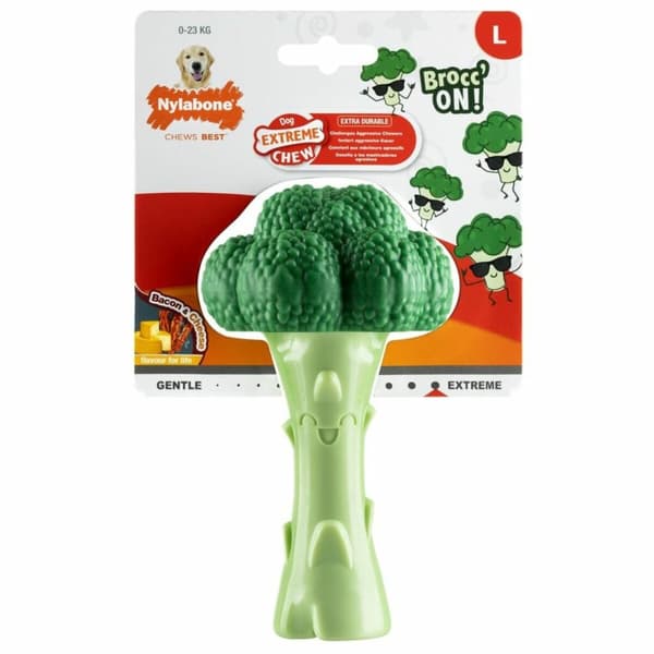 Legetøj til hunde Nylabone Grøn Kunstig L
