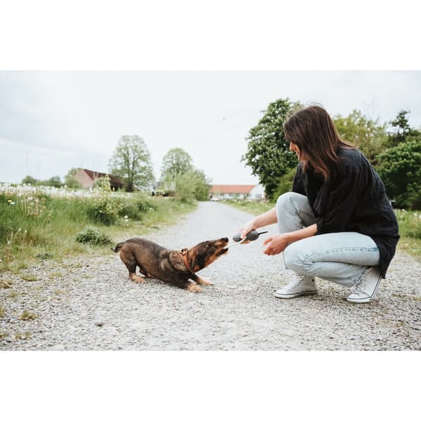 Legetøj til hunde Hunter Nebraska Brun Ko